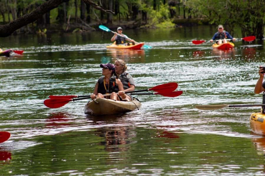 Myrtle Beach: Waccamaw River Kayak Island Tour - Starting at River Island Outpost