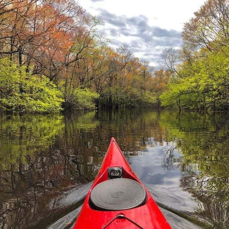Myrtle Beach: Waccamaw River Kayak Island Tour - Paddling the Waccamaw River