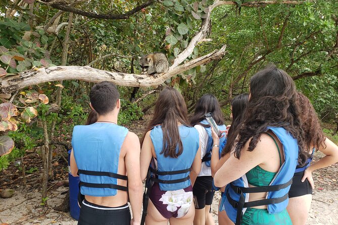 Nature & Island Exploration on SUP/Kayak - A mangrove outing with a different Miami rhythm