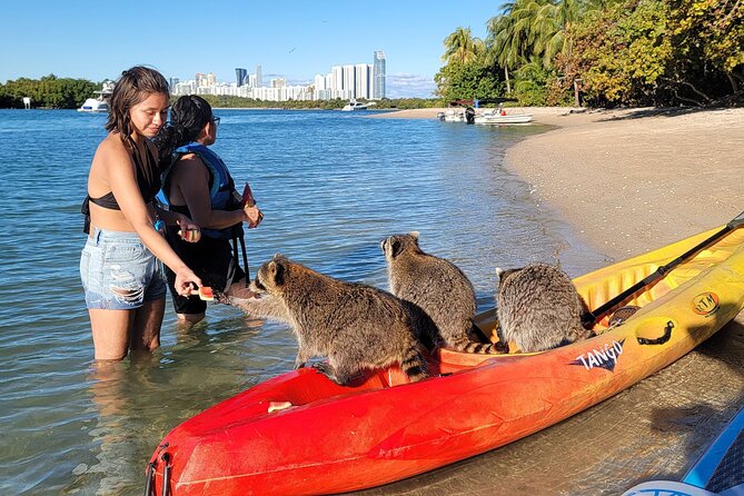 Nature & Island Exploration on SUP/Kayak - Raccoon Island and the closest wildlife encounter