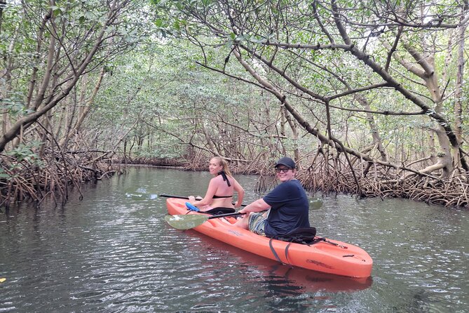 Nature & Island Exploration on SUP/Kayak - The swimming break, fruit, and drinks