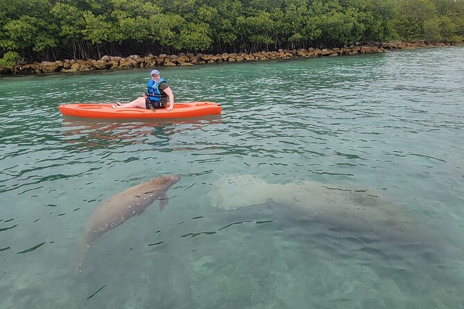 Nature & Island Exploration on SUP/Kayak - Through the mangroves and narrow canals