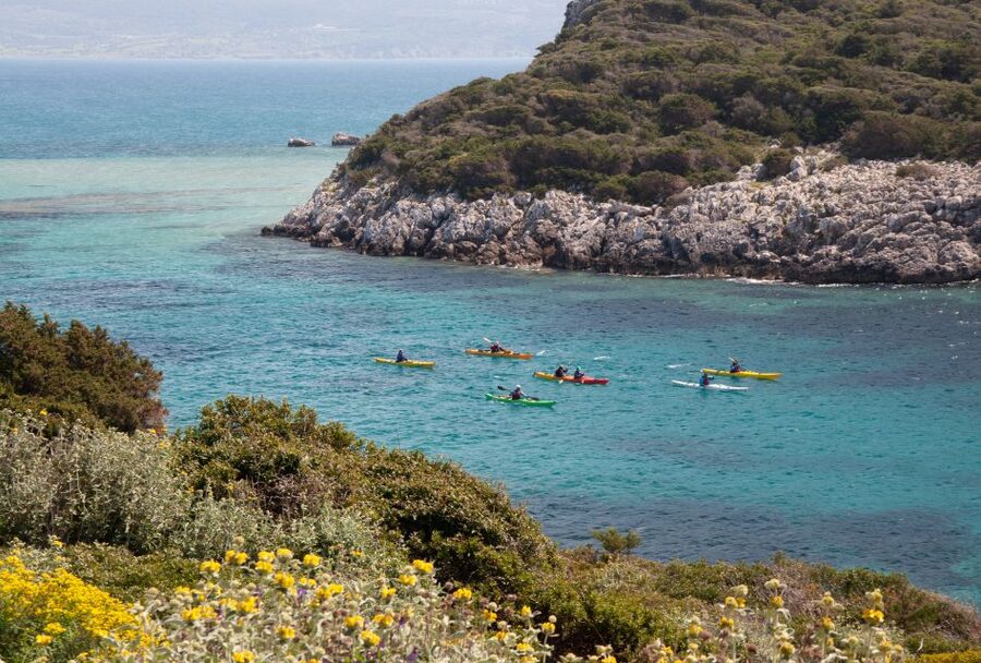 Navarino Bay: Sea Kayaking with Lunch - What the $94 Price Really Gets You