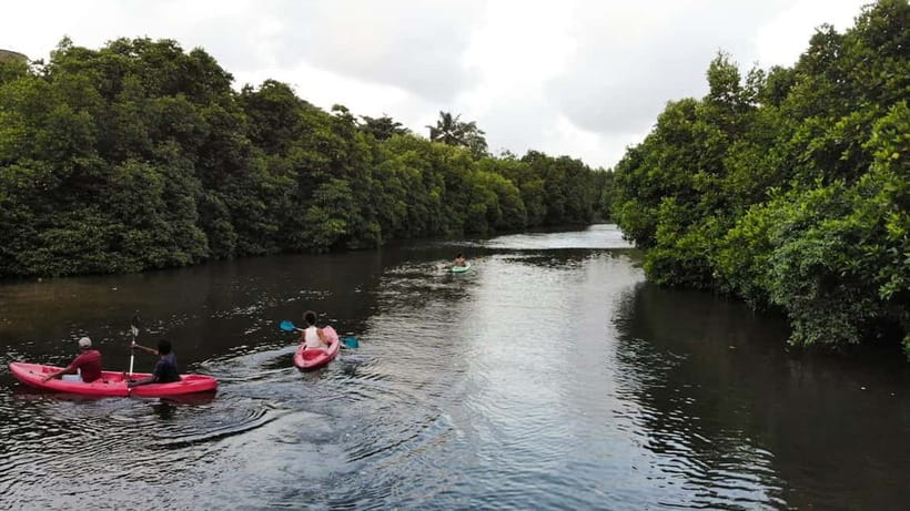 Negombo: Guided Kayaking Tour in the Lagoon - Key points to know before you book