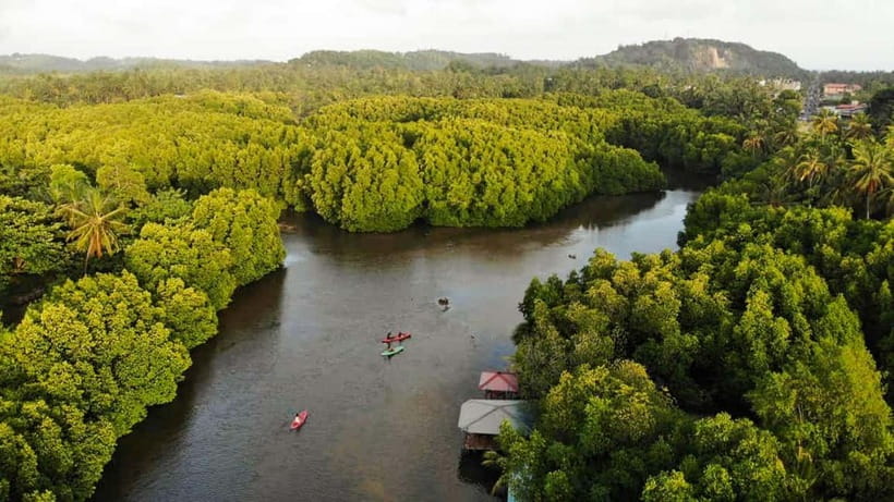Negombo: Guided Kayaking Tour in the Lagoon - Why Negombo Lagoon works so well by kayak