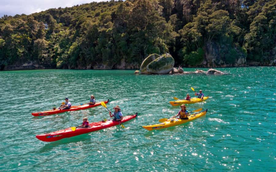 Nelson: Abel Tasman Kayaking & Great Taste Trail Bike Tour - Why this day works so well