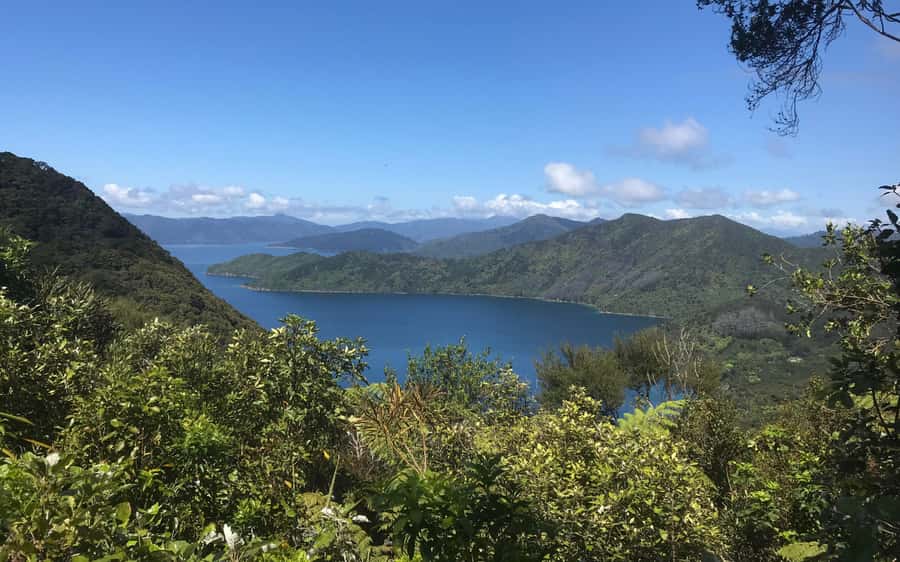 Nelson: Abel Tasman Kayaking & Great Taste Trail Bike Tour - Riding the Great Taste Trail through Tasman District