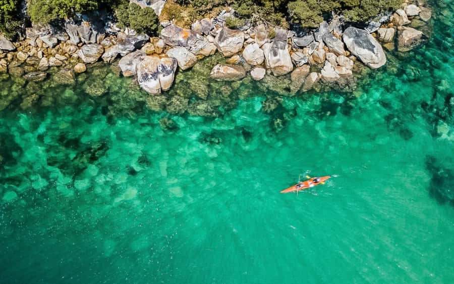 Nelson: Abel Tasman Kayaking & Great Taste Trail Bike Tour - What you get for $191