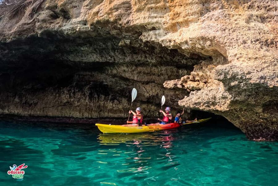 Nerja: Free kayaking route (without a tour guide). 2.5-hour tour. Nerja-Maro Waterfall. - Caves, coves, and swimming breaks