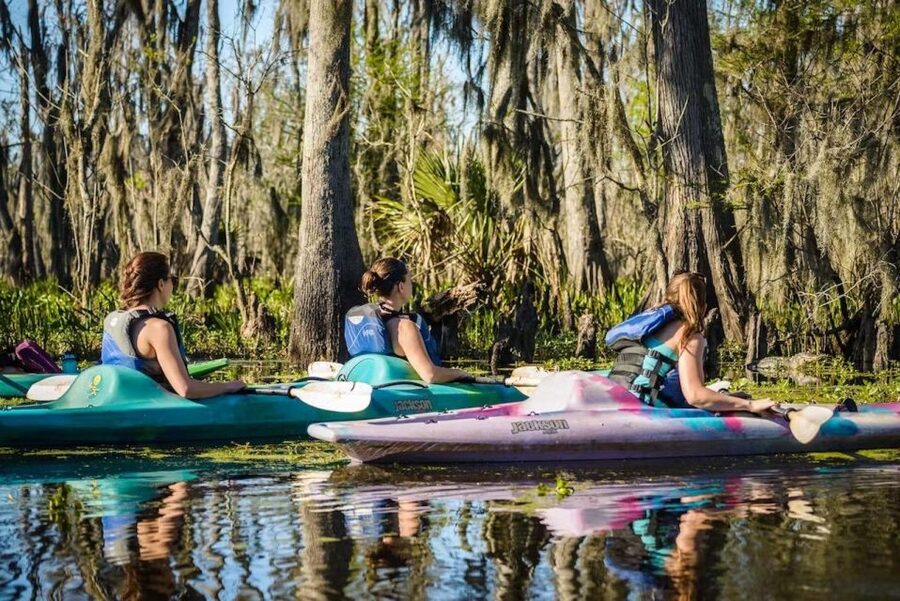 New Orleans: Manchac Magic Kayak Swamp Tour - Who will enjoy this tour most?