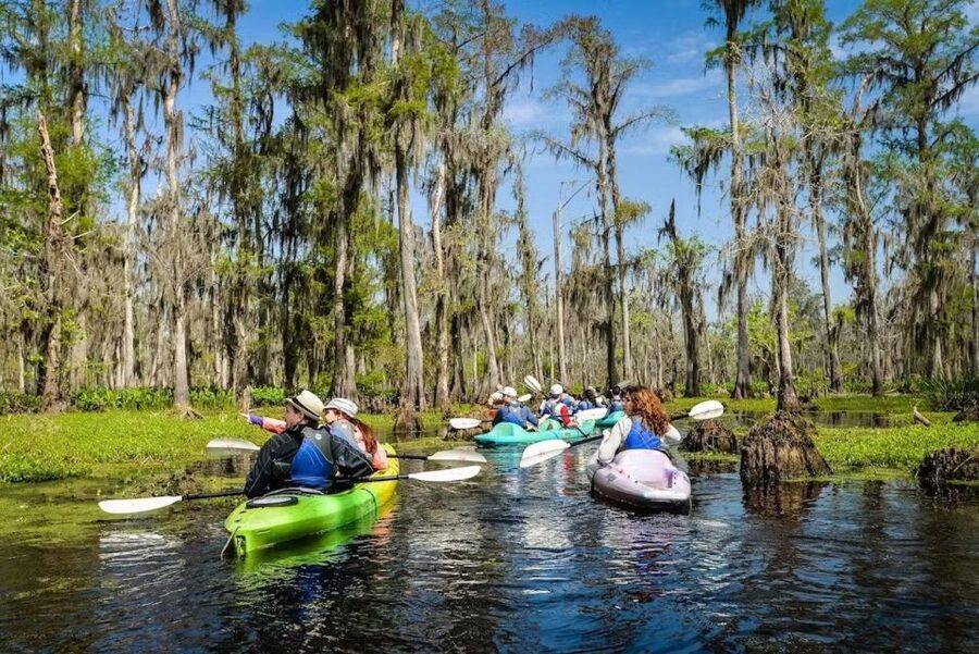 New Orleans: Manchac Magic Kayak Swamp Tour - Why Manchac Swamp is worth leaving New Orleans for