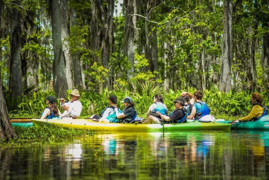 New Orleans: Manchac Magic Kayak Swamp Tour - Getting from Rampart Street to the water