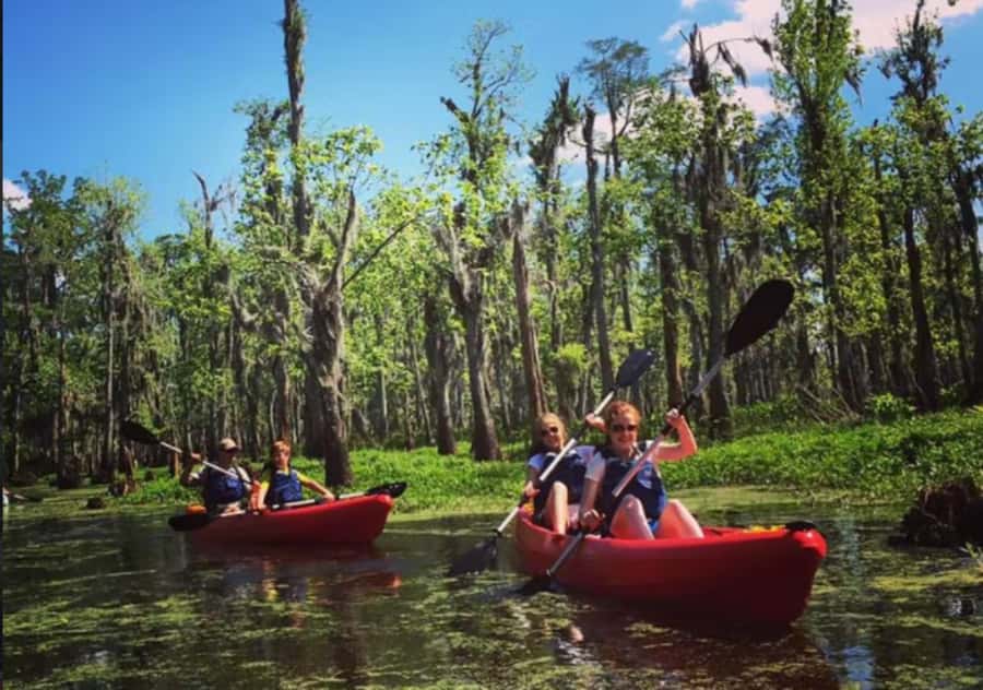 New Orleans: Manchac Swamp Wildlife Kayaking Tour - Leaving New Orleans for Manchac and Maurepas