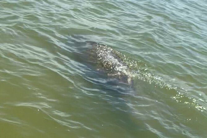 New Smyrna Dolphin and Manatee Kayak and SUP Adventure Tour - Leaving the beach for New Smyrna’s backwaters