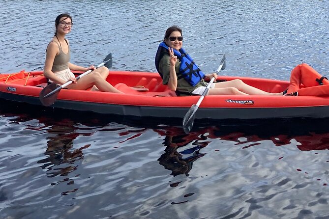 New Smyrna Dolphin and Manatee Kayak and SUP Adventure Tour - The guides are a major part of the experience