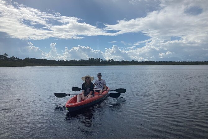 New Smyrna Dolphin and Manatee Kayak and SUP Adventure Tour - Is $65 a good value?