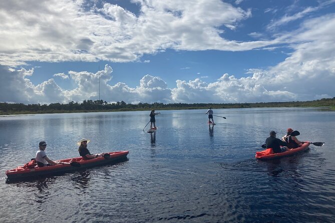 New Smyrna Dolphin and Manatee Kayak and SUP Adventure Tour - What the two-hour route is really like