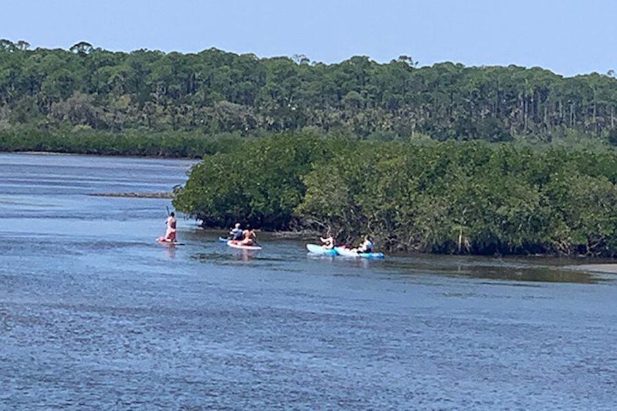 New Smyrna: Half-Day Guided SUP or Kayak Waterways Tour - What the family experience is really like