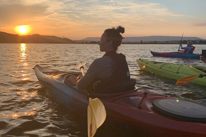 Nickajack Bat Cave Kayak Tour with Chattanooga Guided Adventures - Waiting for the gray bats