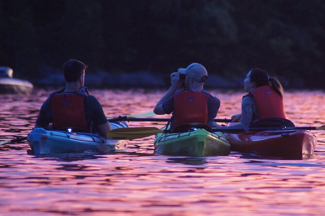 Nickajack Bat Cave Kayak Tour with Chattanooga Guided Adventures - How difficult is the kayaking?