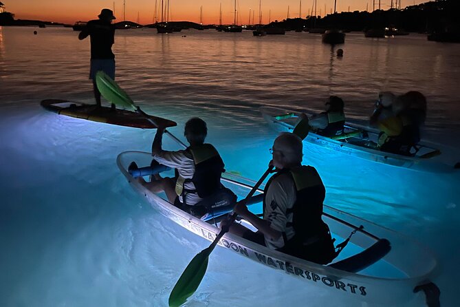 Night Kayak Tour St. John - Westin Resort - How much value do you get for $69?