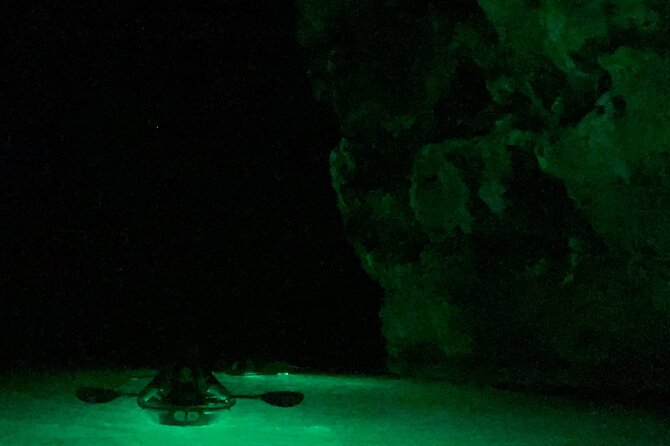 Night Kayaking with Liquid Glow - The marine life you may see below
