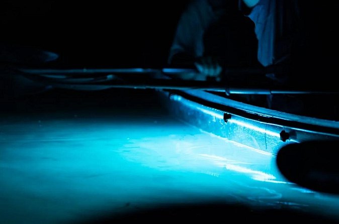 Night Mangrove Kayak Tour - The practical comforts included