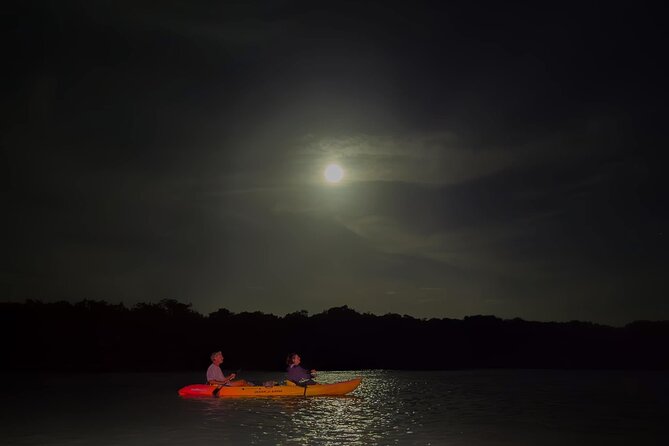 Night Mangrove Kayak Tour - Paddling through Lac Bay in the dark