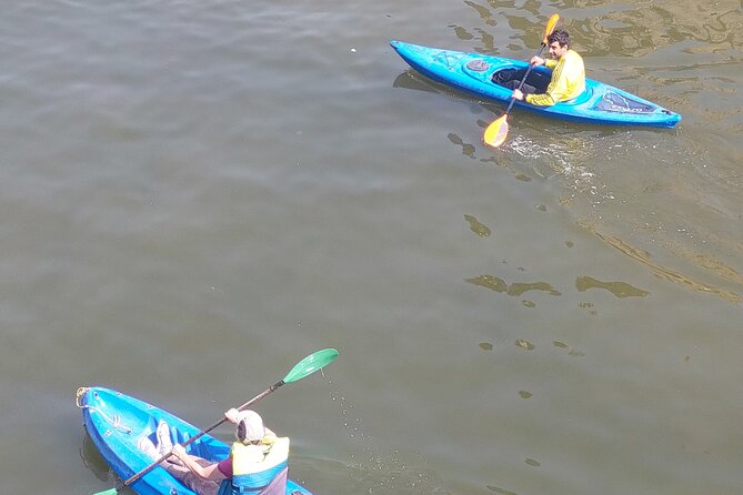 Nile River Kayaking in Cairo with Instructor - One hour on the Nile with your own group