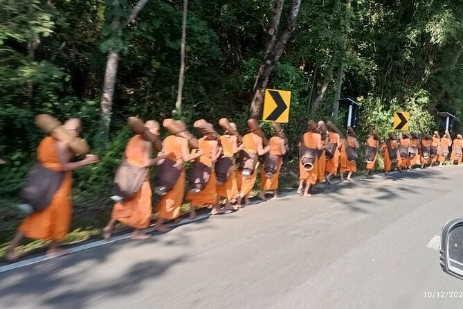 No1. Chiang Mai City Hiking, Biking & Kayaking Triathalon - The Mae Ping River kayak into Chiang Mai
