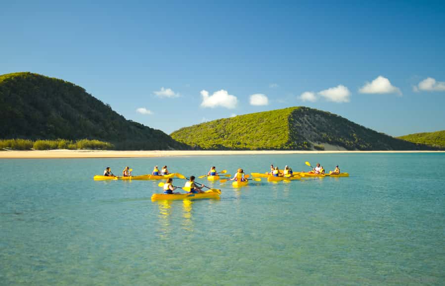 Noosa: Epic Ocean Kayak with Dolphins & 4WD Beach Adventure - What the guides add to the day
