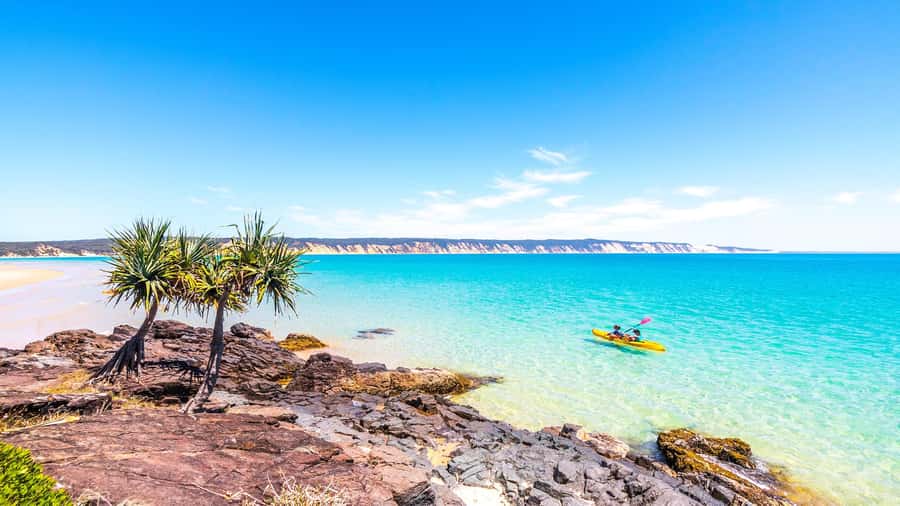 Noosa: Epic Ocean Kayak with Dolphins & 4WD Beach Adventure - Family appeal, comfort, and group expectations