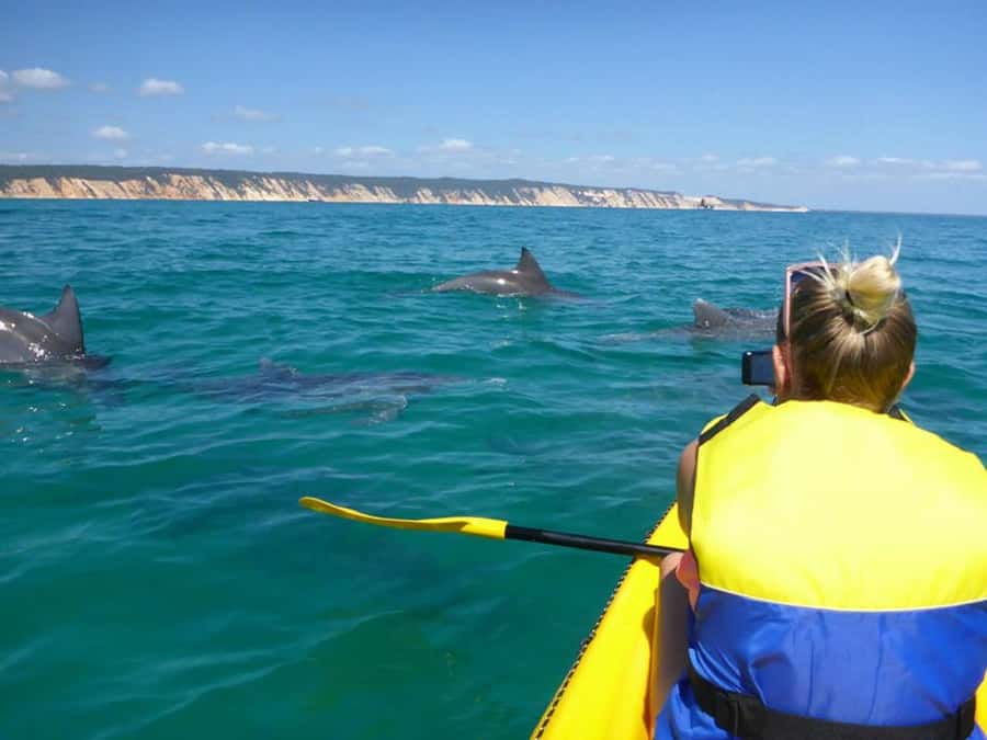 Noosa: Epic Ocean Kayak with Dolphins & 4WD Beach Adventure - Double Island Point and Honeymoon Bay