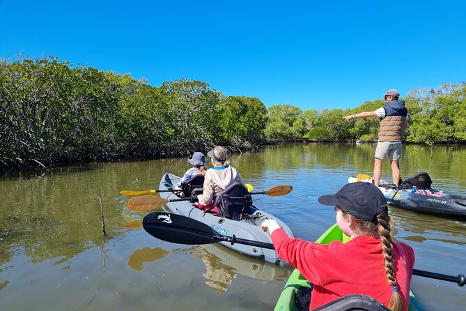 Noosa Everglade Kayak -South/Noosa End - Searching for Stingrays! - Key points to know before you paddle
