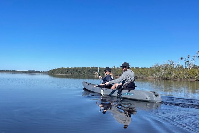 Noosa Everglade Kayak -South/Noosa End - Searching for Stingrays! - From open water to quiet creeks