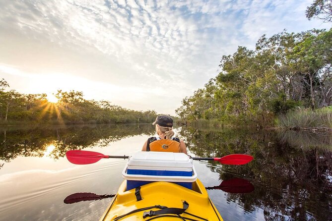 Noosa Everglade Kayak -South/Noosa End - Searching for Stingrays! - The guides make the difference