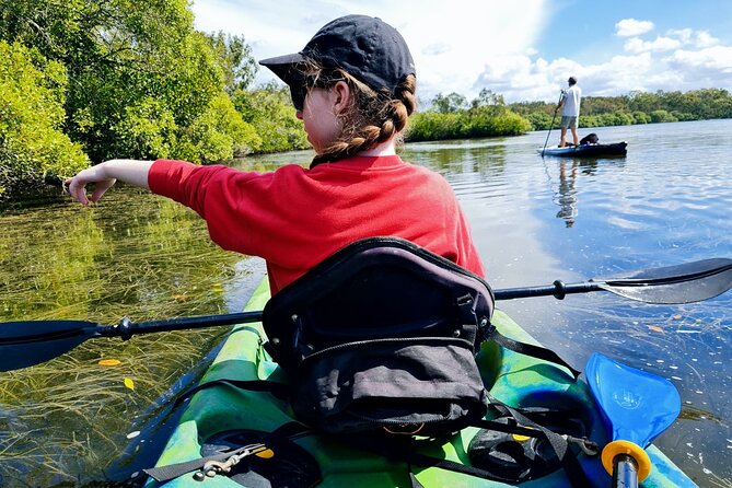 Noosa Everglade Kayak -South/Noosa End - Searching for Stingrays! - What the wildlife search is really like
