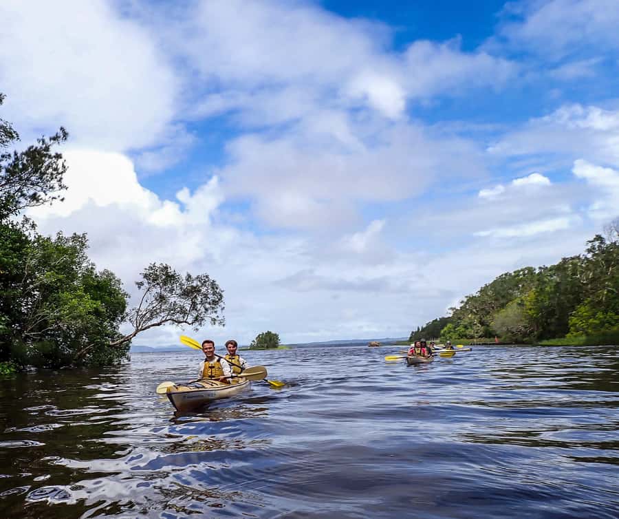 Noosa Everglades: Truly Sustainable Guided KAYAK Tour - A 30-minute break in protected wilderness