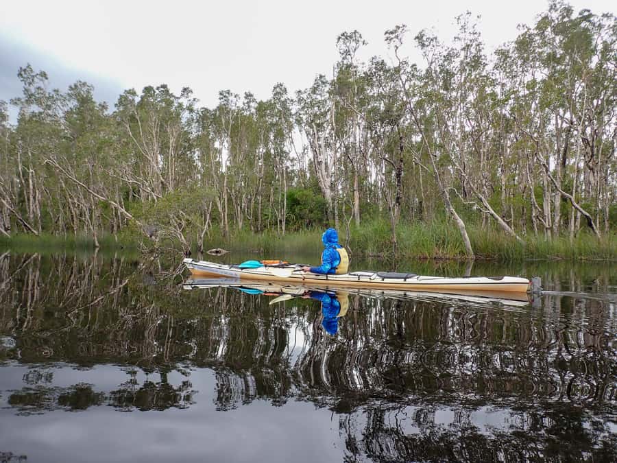 Noosa Everglades: Truly Sustainable Self Guided KAYAK Tour - The six-hour paddle through Great Sandy National Park