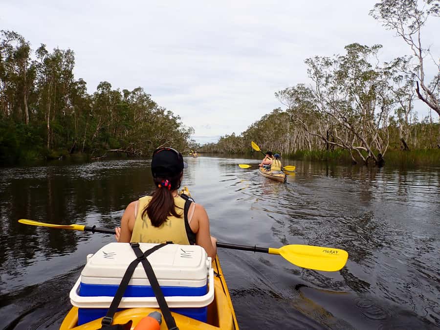 Noosa Everglades: Truly Sustainable Self Guided KAYAK Tour - Should you book the Noosa Everglades kayak tour?