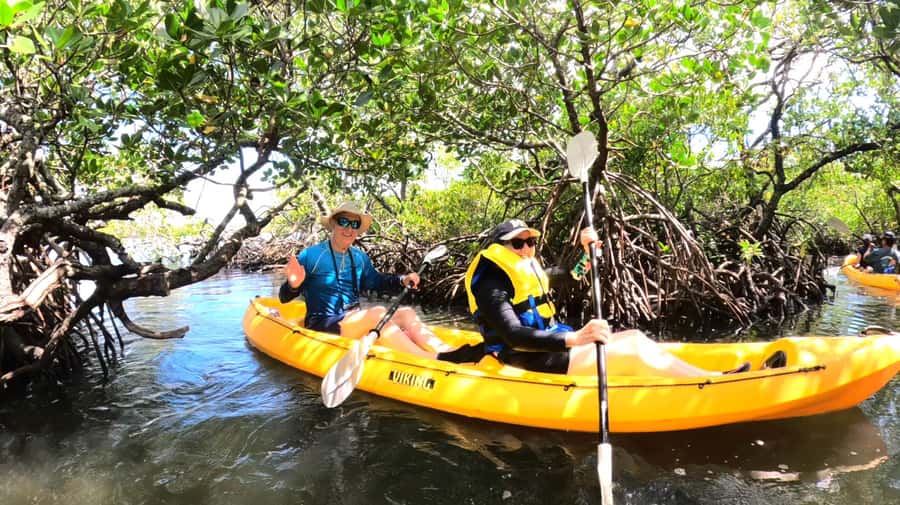 Noosa Heads: Hidden Waterways Wildlife Kayak (Fully Guided) - Seventy-five minutes among mangroves and stingrays