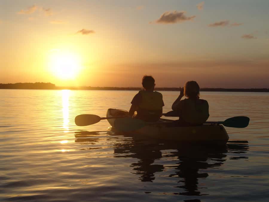 Noosa Heads: Hidden Waterways Wildlife Kayak (Self-Guided) - Who Will Enjoy This Kayak Trip