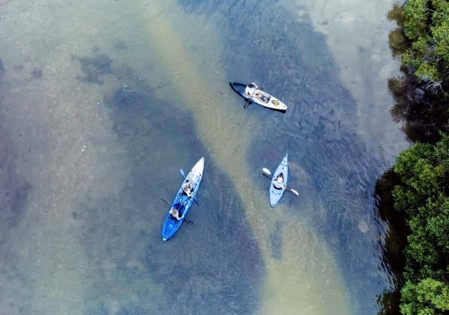 Noosa: Noosa Everglades and Stingray Sanctuary Kayak Tour - Lake Weyba is the real starting point