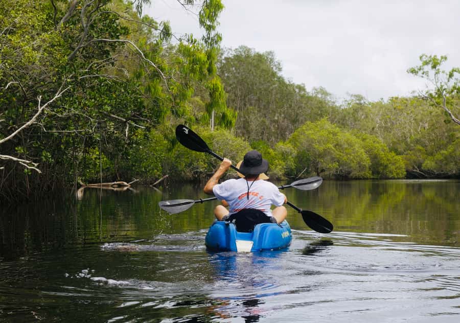Noosa: Noosa Everglades and Stingray Sanctuary Kayak Tour - Paddling through the southern Everglades