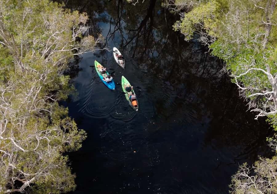 Noosa: Noosa Everglades and Stingray Sanctuary Kayak Tour - The stingray sanctuary and shallow water sightings