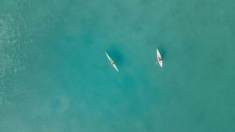 Noosa River: Mangroves and Mansions Guided Kayak Tour - Through the Noosa River mangroves