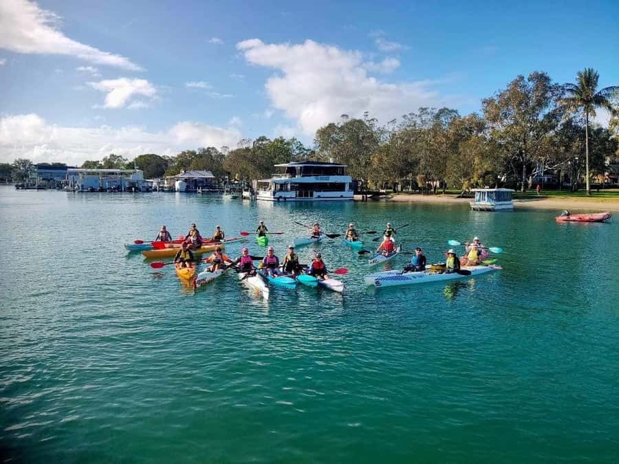 Noosa River: Mangroves and Mansions Guided Kayak Tour - A pause at Noosa Lions Park