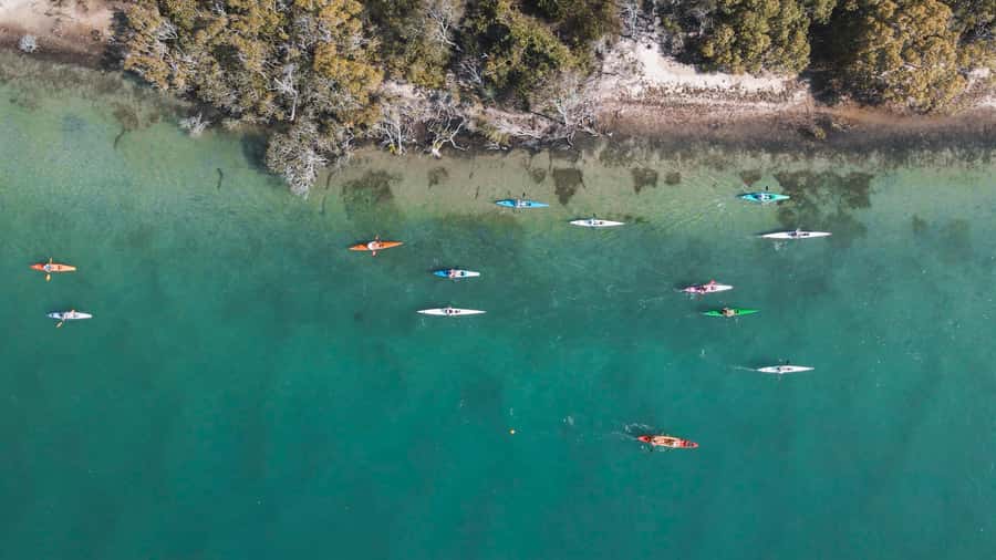 Noosa River: Mangroves and Mansions Guided Kayak Tour - Safety instructions that help first-time paddlers