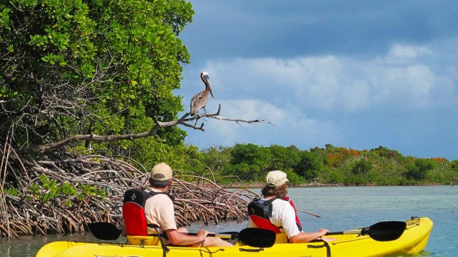 North Miami: Nature & Island Exploration on SUP/Kayak - Key Points at a Glance