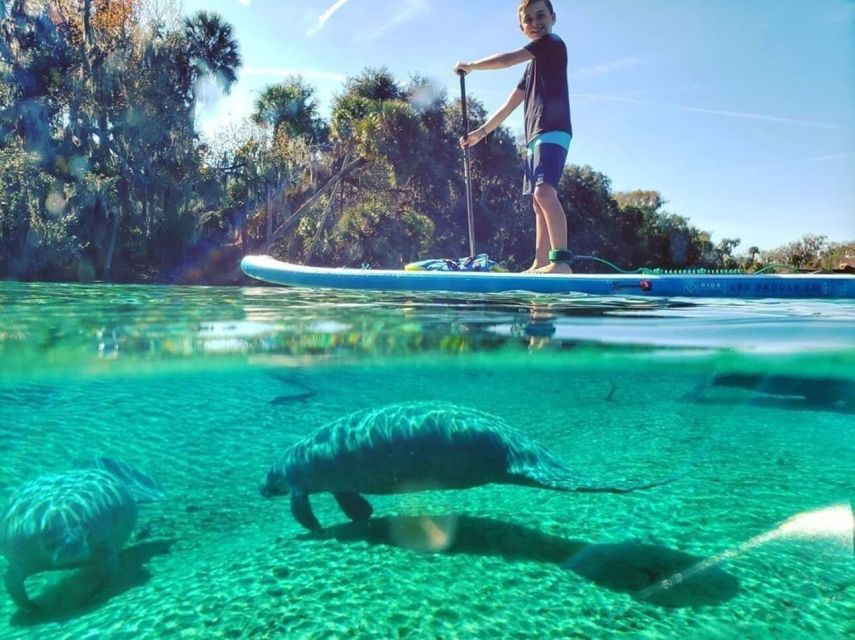 North Miami: Nature & Island Exploration on SUP/Kayak - Why This Four-Hour Paddle Works in Miami